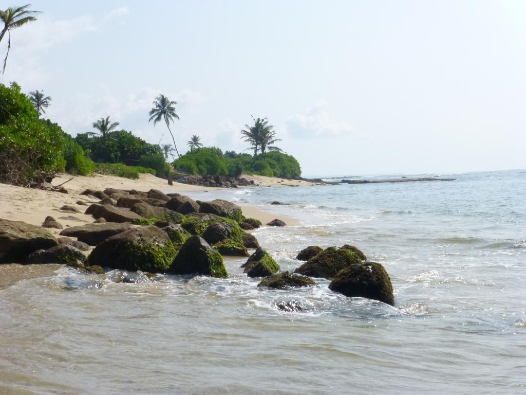 Bougain Villa Sea View Mirissa Esterno foto